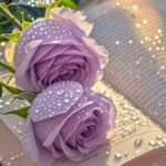 Noor samaa 1