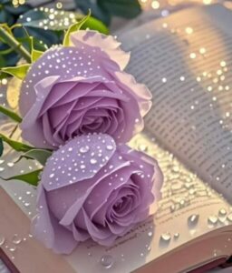 Noor samaa 1