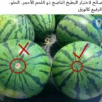 شباب وفقط وبدون ازعاج 1
