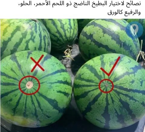 شباب وفقط وبدون ازعاج 1