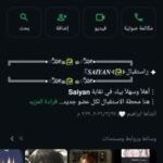 استقبال 𝑺𝑨𝑰𝒀𝑨𝑵