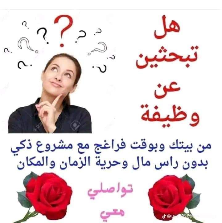 رائد الأعمال الحرة 2