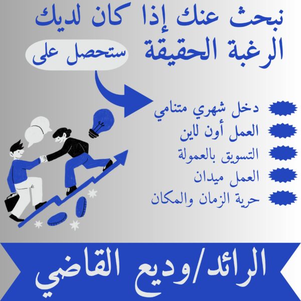 التسويق الإلكتروني مع الرائد وديع القاضي 19