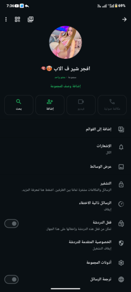 عين شمس 2