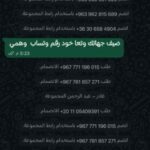 توزيع ارقام وتساب وهمية 1