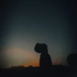 لو مرتبط خش حتي لو سنجل 1