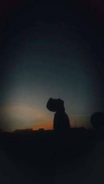 لو مرتبط خش حتي لو سنجل 1