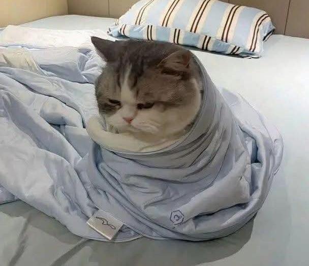 اسأل وانا افتي 1
