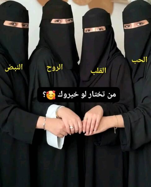 قروب الجميلات للبنات فقط تعارف وسوالف 1