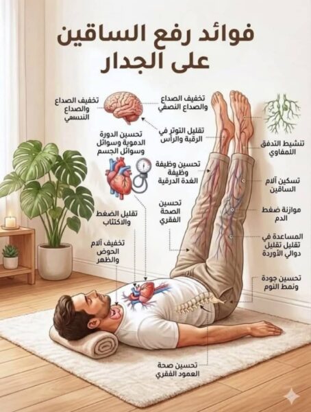صحتــك ســر سعادتــك 7