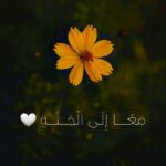 شوية ونس 1