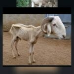 جروب التعارف 5