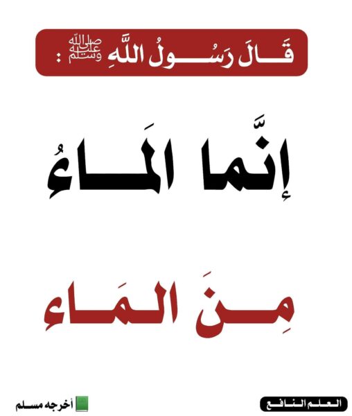 Mohammed AlArsh