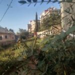 صحة وبس 1